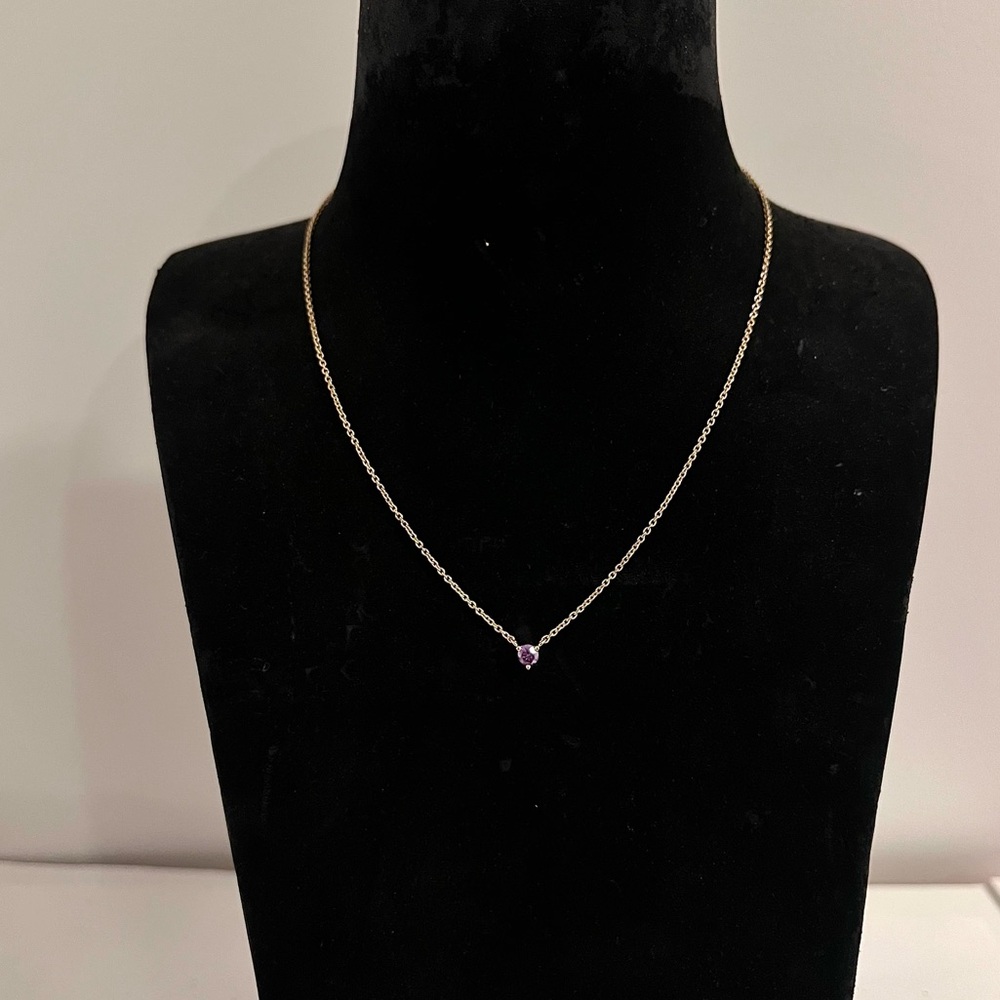 NWT Gold Necklace with Purple Gemstone Pendant